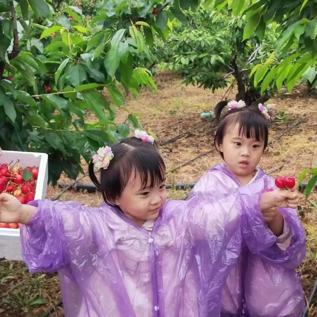 1686723494713725.jpg 640 (1).jpg